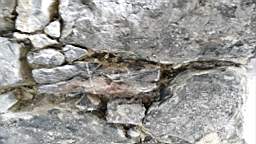 acastle
                          110920.jpg